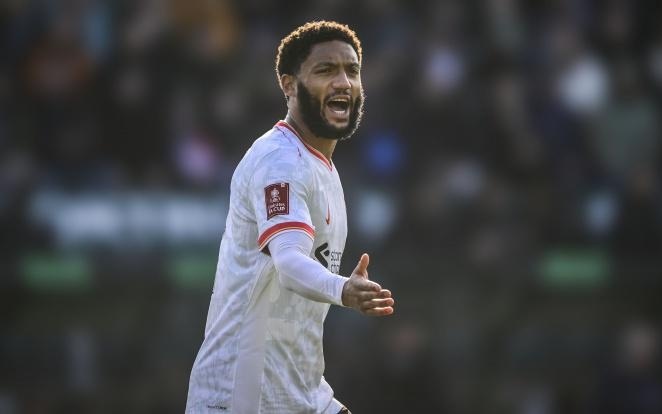 对于刘亦菲 对于刘亦菲