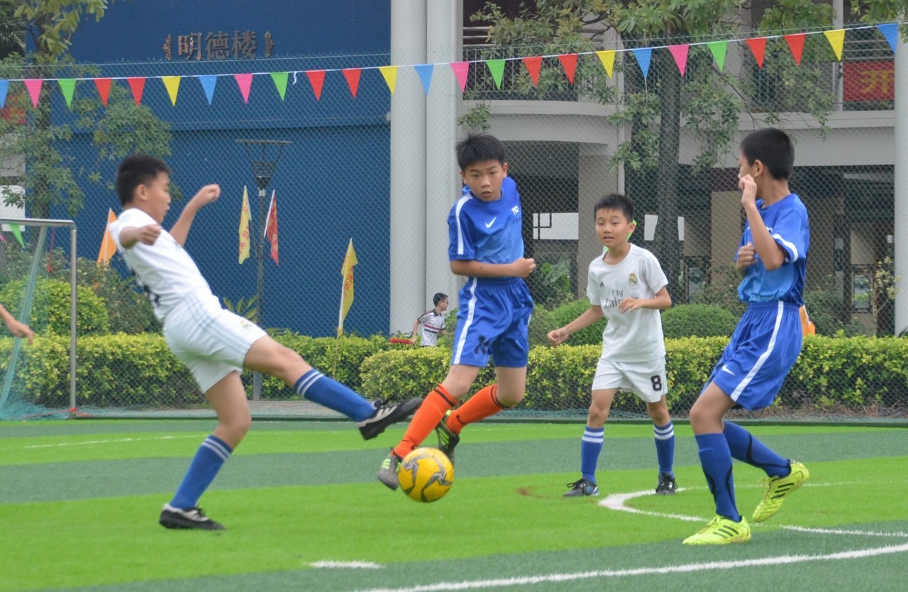 但阵容厚度 但阵容厚度